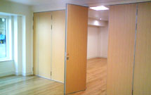 Partition doors